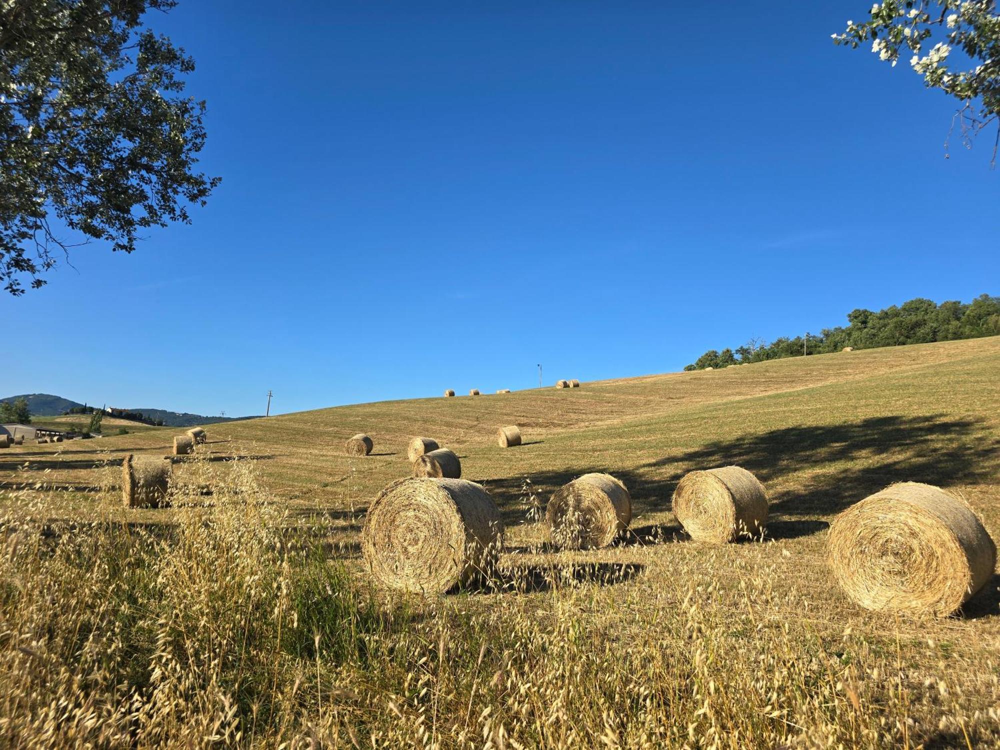 דירות Contignano Finestra Della Val D'Orcia מראה חיצוני תמונה